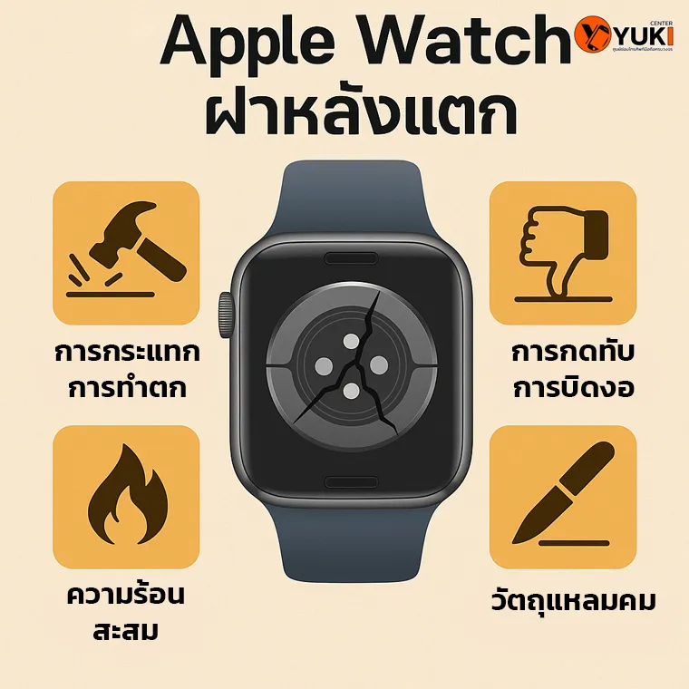 อินโฟกราฟิก สาเหตุหลักที่ทำให้ Apple Watch ฝาหลังแตก