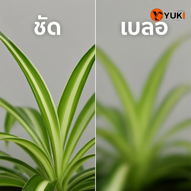 กล้องหลัง iPhone 16 Pro Max ไม่โฟกัส ภาพเบลอ